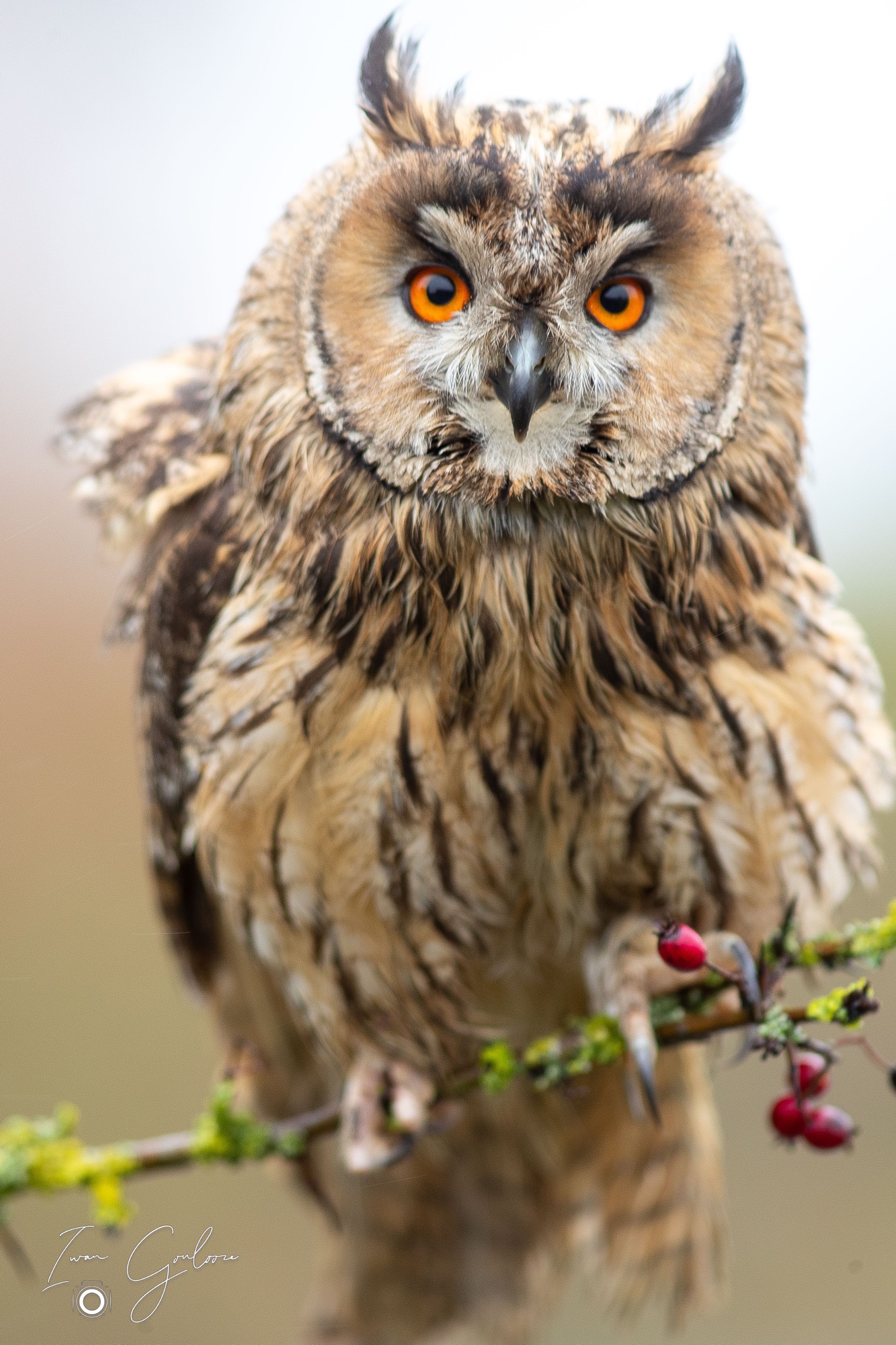 1DX46405 12 december 2021 1326 09